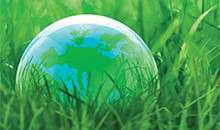 Do good by sowing grass